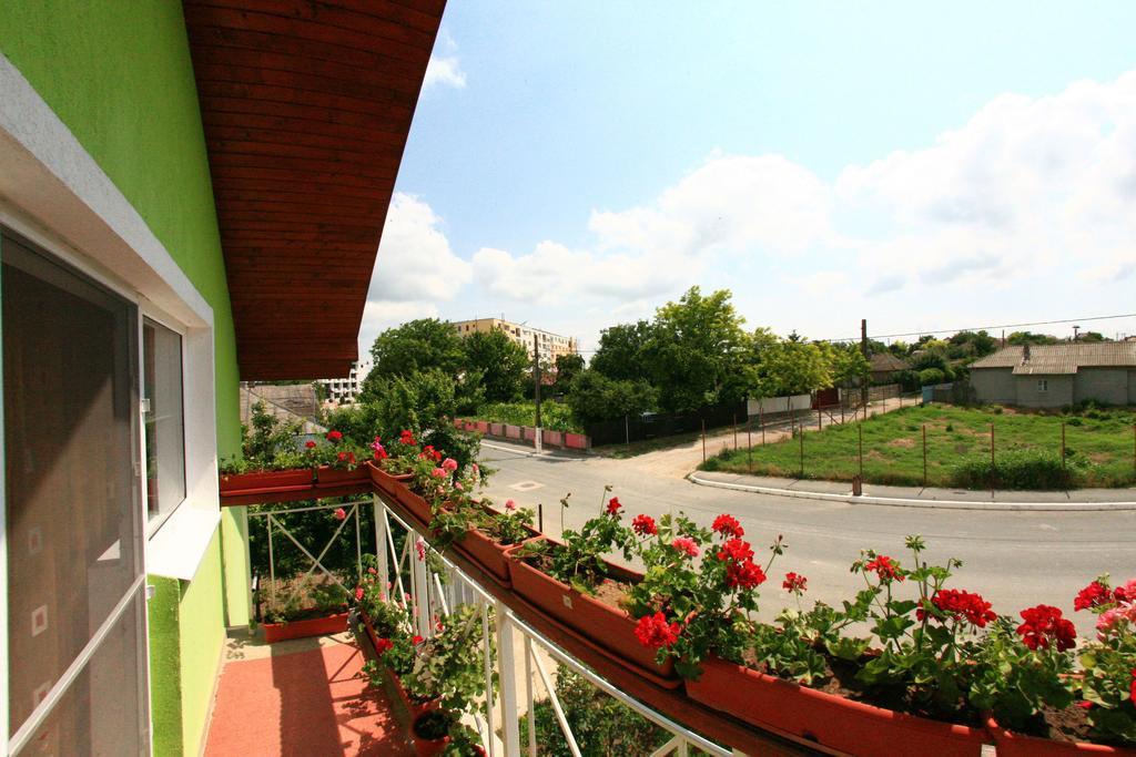 Casa Nelu Pescaru Hotel มาห์มูเดีย ภายนอก รูปภาพ