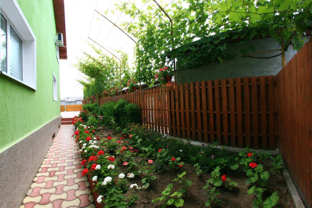 Casa Nelu Pescaru Hotel มาห์มูเดีย ภายนอก รูปภาพ