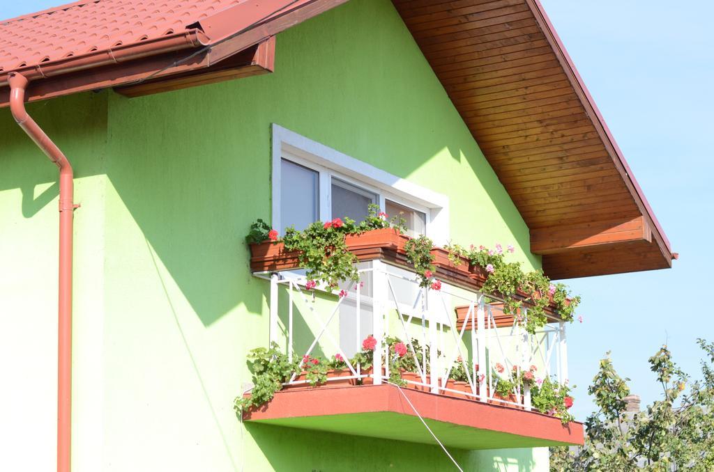 Casa Nelu Pescaru Hotel มาห์มูเดีย ภายนอก รูปภาพ