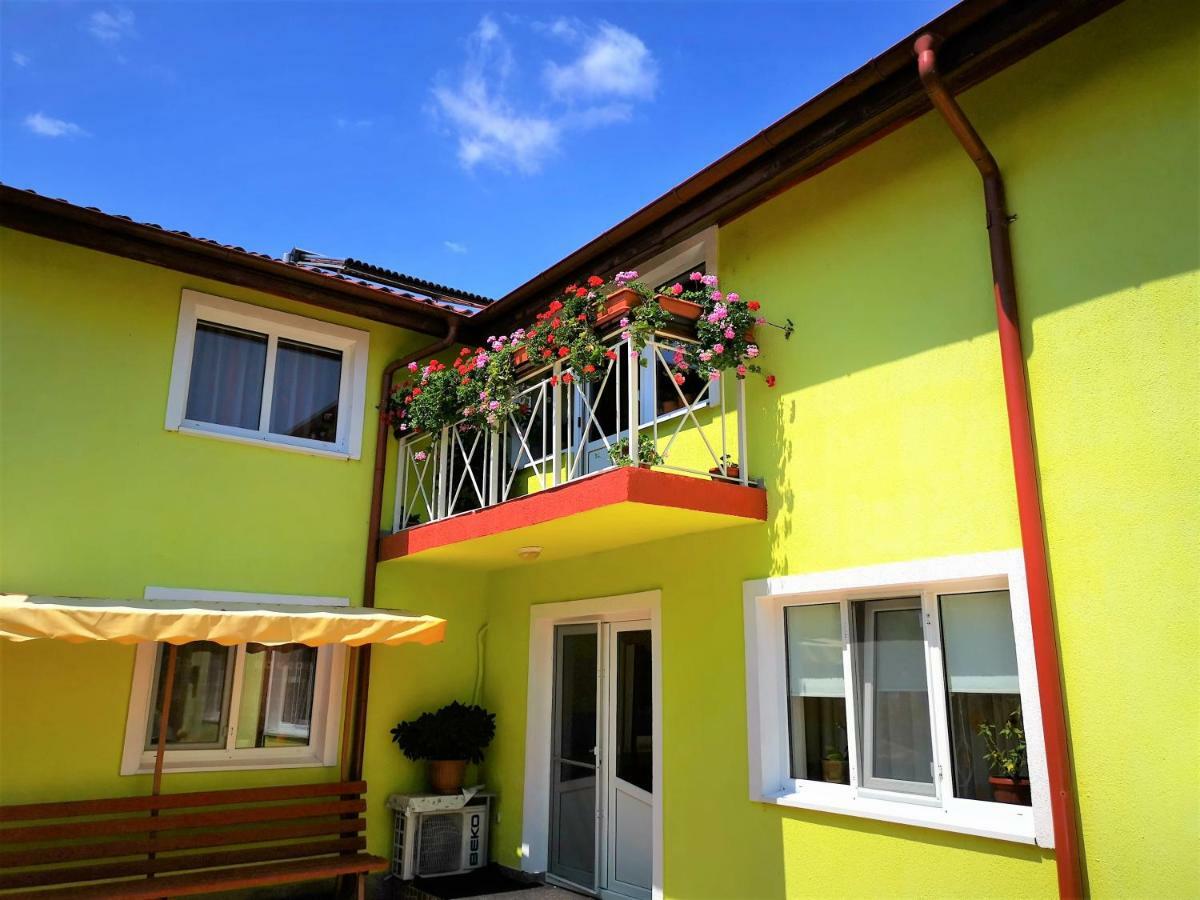 Casa Nelu Pescaru Hotel มาห์มูเดีย ภายนอก รูปภาพ